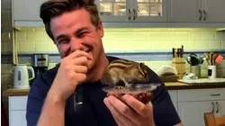 Pocket Pets