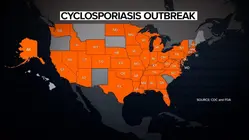 FDA investigating new potential outbreak of cyclosporiasis