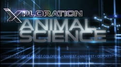 Animals That Amaze
