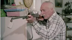 A Dream of Wild Horses