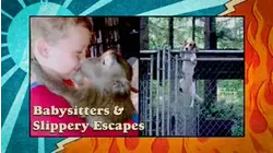 Goodies VS. Baddies | Babysitters & Slippery Escapes