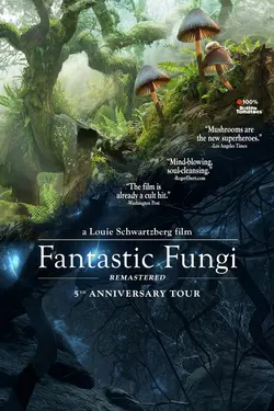 Fantastic Fungi