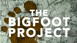The Bigfoot Project
