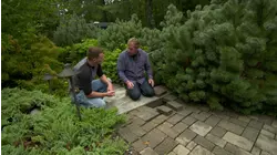 Ask This Old House | All About Walkways
