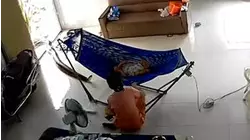 Caught in the Act
