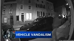 'Hitting every single car': Video captures vandal keying cars