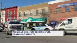 Teen slashed in face during Bronx bus stop dispute; 16-year-old arrested