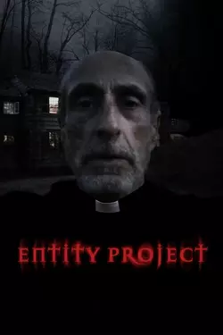Entity Project