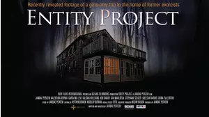 Entity Project