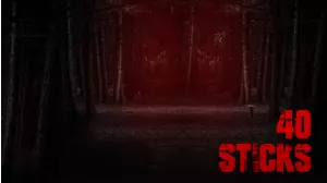 40 Sticks