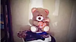 Haunted Teddy Bear and More