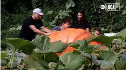 Pennsylvania family has grown a giant pumpkin right in their own backyard