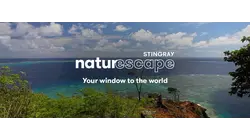 Hidden Tropical Paradise 2