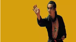 The Best of Shaolin Kung Fu