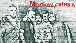 Monkey Culture