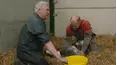 The Yorkshire Vet
