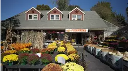 Made in Connecticut: Springdale Florist & Greenhouses