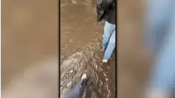 86th Street transverse flooding in Central Park