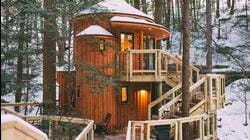 Tiny BNB: Ultimate Treetop Getaways