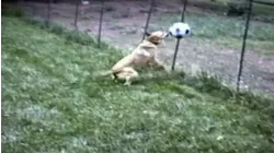 Look what I can do