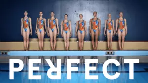 Perfect (English Burn-In)