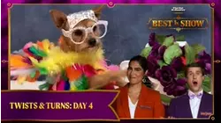 Twists & Turns: Day 4