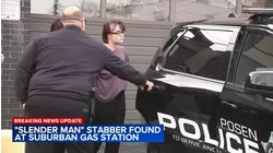 Slender Man' attacker arrested in Posen after manhunt