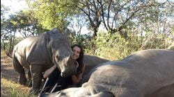 Today I Learned: Rhinoceroses