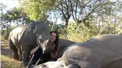 Today I Learned: Rhinoceroses