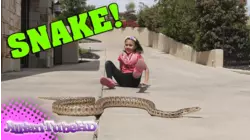 Jillian Plays with Wild Snake!