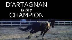 D'artagnan is the Champion