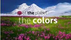 The Colors of the Planet