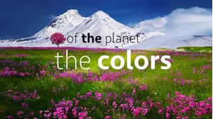 The Colors of the Planet