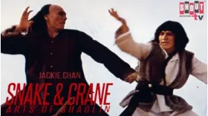 Snake & Crane Arts Of Shaolin