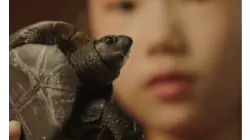 Turtle