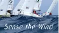 Sense The Wind