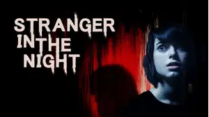 Stranger in the Night