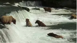 Best Parks for Creature Features