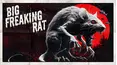 Big Freaking Rat