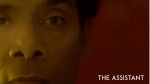 The Assistant