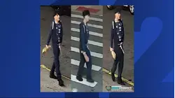 Group leaves man beaten in violent Sheepshead Bay carjacking