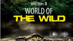 World of the Wild