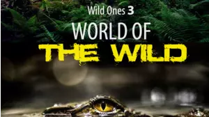 World of the Wild