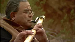 Prams and Bicycle Tires