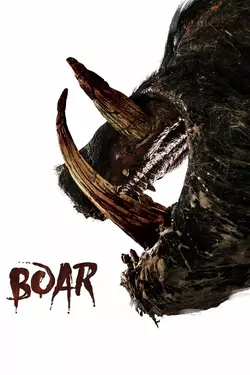 Boar