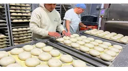 How One Factory Supplies NYC's Bodegas