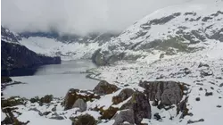 New Zealand: Prey on Predators