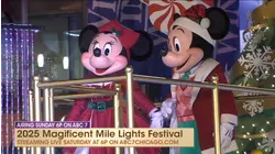 Lights Fest this weekend