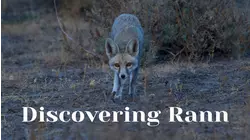 Discovering Rann