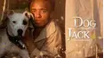 Dog Jack